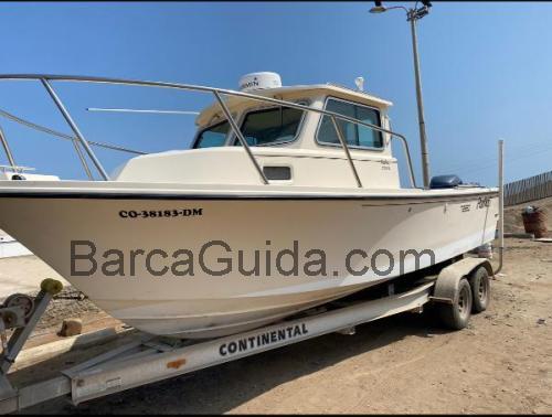 Parker 2320 SL scheda tecnica e recensioni